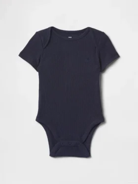 Baby First Favorites Body