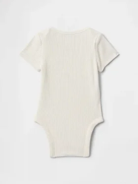 Baby First Favorites Body