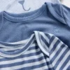 Baby First Favorites Body's (3-pack)
