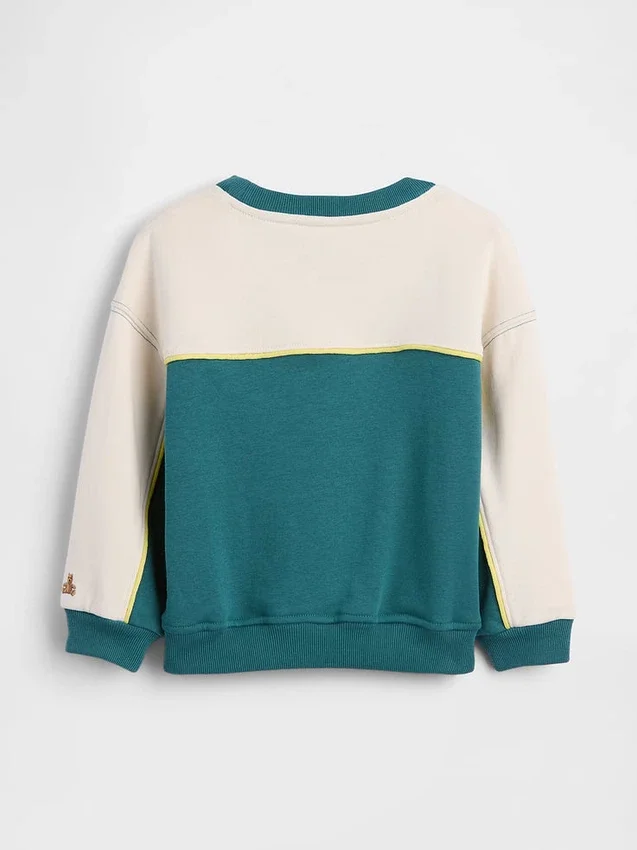Baby & Peuter-Vintagesoft-terry-varsity-sweatshirt