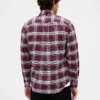 Geruit Oxford-overhemd met knopen