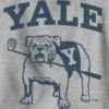 Kinder-sweatshirt met Yale University-afbeelding