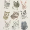 Kinder-T-shirt met kattengezichten-print