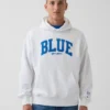 Koop de blauwe, zware hoodie van French Terry met logo