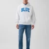 Koop de blauwe, zware hoodie van French Terry met logo