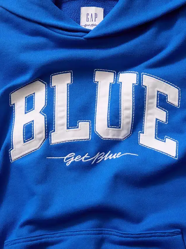 Koop de blauwe, zware hoodie van French Terry met logo