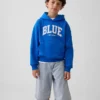 Koop de Blue Kids Vintagesoft Relaxed Hoodie