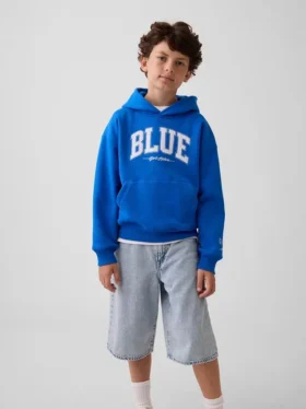 Koop de Blue Kids Vintagesoft Relaxed Hoodie