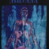 Nirvana T-shirt met print, zwaar, cropped