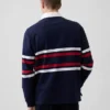 Team USA-rugbyshirt voor volwassenen