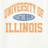 University of Illinois Vintage Fighting Illini-T-shirt met print