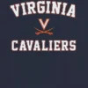 University of Virginia Campus Classic T-shirt met afbeelding