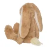 Willow van de Coffee Snuggle Bunnies
